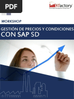 Workshop Gestion de Precios y Condiciones Con Sap SD