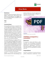 Virus Del Ebola A PDF