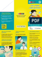 Triptico PAL Final PDF