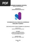Determinantes Del Poder en Las Empresas Familiares Tacneñas