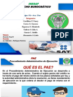 Pae Fiscal II 