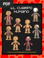 El Cuerpo Humano 