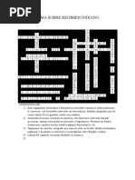 Crucigrama Sobre Regimen Indiano