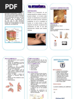 Trabajo Triptico 2