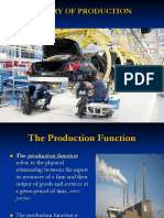 Theory of Production