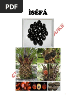 Isefa PDF