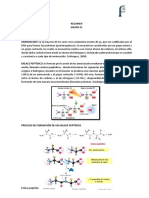 Resumen Enlace Peptidico