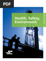 2013 HSE Annual Report - Web FINAL PDF