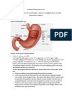 Laporan Pendahuluan Gastritis