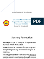 15 Sensory Perception Summary