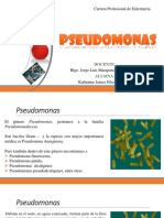 Pseudomonas