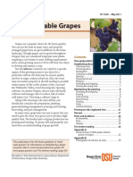 Growing Table Grapes Ec1639 May 2011 PDF