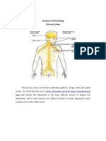 Anatomy and Physiology