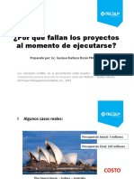 ¿Por Qué Fallan Los Proyectos - Gustavo Barboza