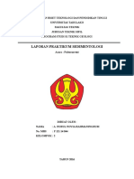 Praktikum Sedimentologi Analisis Paleocurrent