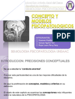 Modelos Psicopatologicos