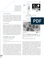 Taxonomia de Los Virus