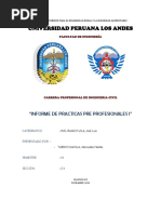 Informe de Practicas I-Final