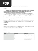 Dna Extraction Lab Report