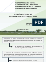 AVALUO DE FINCAS (Valoracion de Semovientes - Especies Mayores)