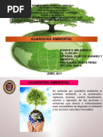 Presentación Guardería Ambiental