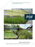 Vivero PDF