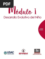 Moìdulo I Curso Desarrollo Evolutivo Del Nino