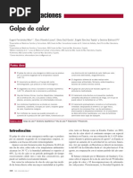 Golpe de Calor PDF