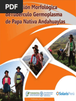 Descripcion Morfologica Del Tuberculo Germoplasma de Papa Nativa Andahuayla PDF