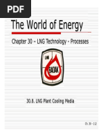 30H - LNG Plant Cooling Media