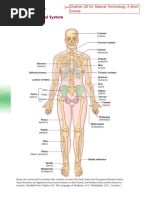 Muscoloskeletal - System - Medical Terminology