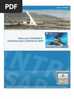 Manual CVOSOFT Curso Introduccion SAP UNIDAD 1 PDF