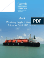 Leaders On The Future of LNG and Gas