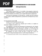 Interpretacion Rorschach Sistema Comprehensivo, Resumen