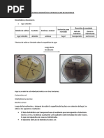 Actividad Enzimática Agar Almidon