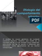 Etiología Del Comportamiento Infractor