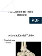 Articulación Del Tobillo (Talocrural)