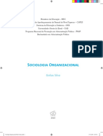 Sociologia Organizacional