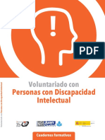 Voluntariado Con Personas Con Discapacidad Intelectual