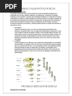 Pruebas Paleontológicas