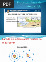 Procesos Claves de Intercambio