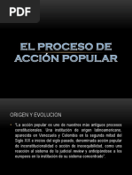 El Proceso de Acción Popular