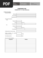 Inventario Vial - ForMATOS