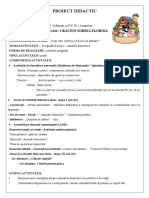 Proiect Didactic