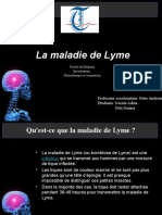 La Maladie de Lyme