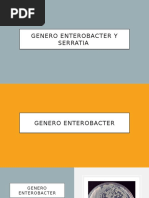 Genero Enterobacter y Serratia