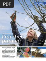 RHS Fruit Tree Pruning