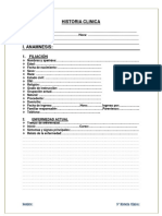 Historia Clinica Modelo Geriatrico