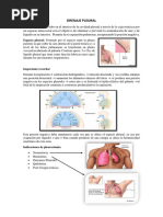 Drenaje Pleural