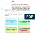 Desarrollo Psicomotor Del Bebé de 0 A 12 Meses